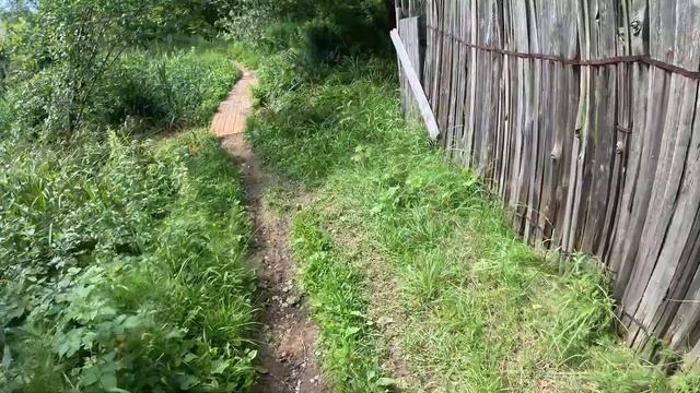 Дорога в Лавру с сыном || День третий || Пироговский лесопарк - Пушкино смотреть онлайн