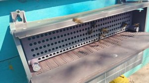 Показую как собирать пыльцу у пчёл