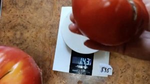 Томат Брендивайн розовый