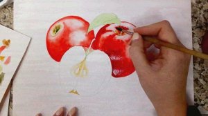Как нарисовать яблоки акварелью