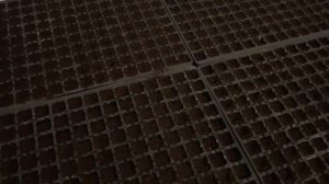 Посев семян томата на рассаду. Торф, кассета, новый гиб