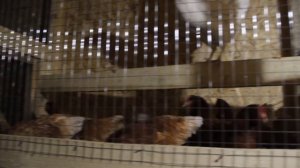 ЮЛИЯ МИНЯЕВА. ОБЗОР УЧАСТКА. КАК ИМ ЖИВЕТСЯ НА НОВОМ МЕ