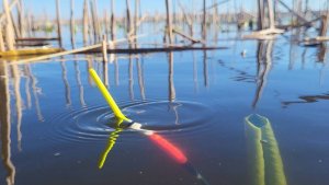 РЫБАЛКА НА ПОПЛАВОК В САМЫХ ДЕБРЯХ! КАРАСЬ С ЛОДКИ.