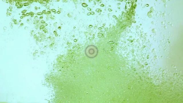 4 полезных рецепта из щавеля. Кому нельзя есть щавель? ? смотреть онлайн