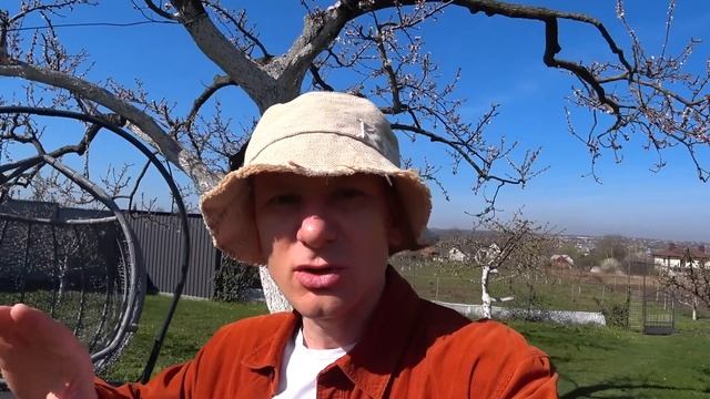 После цветения обработать абрикос ВОТ ТАК и он не забо