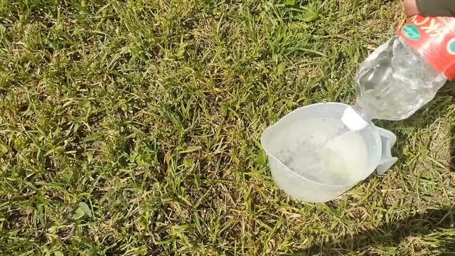 Как быстро избавиться от муравьев и Тли в огороде? Сам? смотреть онлайн