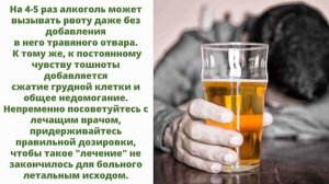 Копытень европейский от алкоголизма, как приготовить,