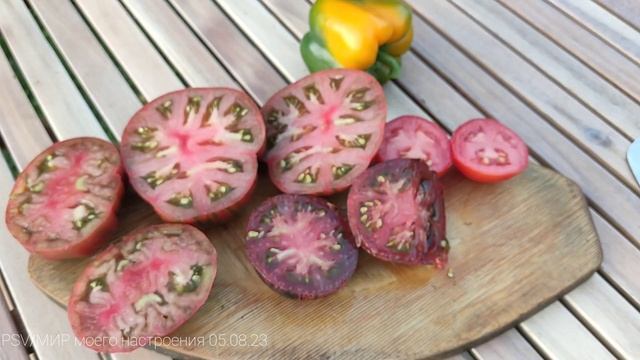 05.08.23 Дача.Леля любит ягоды.Томат Восставший Звездный ?