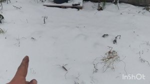 Чистка  снега мотоблоком Нева Энергия