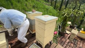 Австралийский улей, установка и разбор деталей-flow hive de