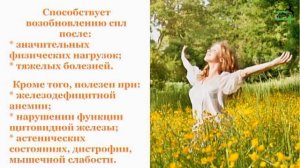 Цетрария   исландский мох инструкция, применение, прот