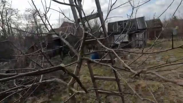 Исправление запущенной кроны яблони. Продолжение №3. смотреть онлайн
