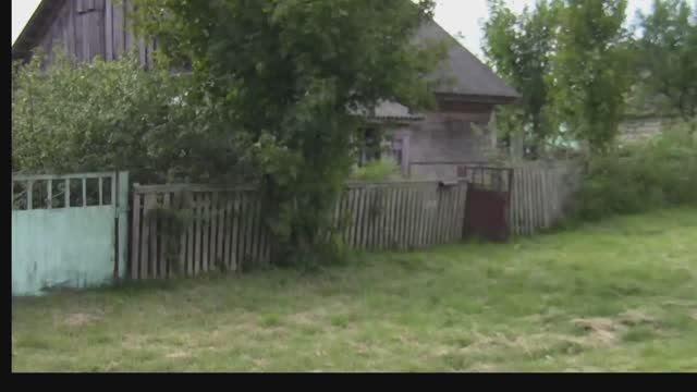 Расчистка участка от кустарников #ремонт_дома_собственными_руками