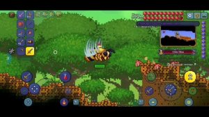 Как призвать Королёву Пчёл в Террарии|Гайд На Призыв К