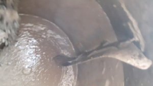 уход за грушей бетономешалки  Или как почистить бетон?