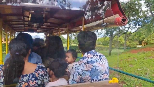 Hawaii Dole Plantation, Pineapple Express Train and Garden Tour,  Гавайи Доул Плант?