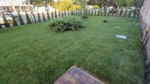 Автополив газона. Работа дождевателей. Благострой. Кр?