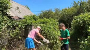 Вместо квартиры купили ЗАБРОШЕННЫЙ участок и убираем