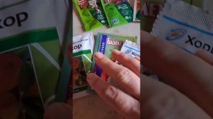 Чёрная мошка на помидорах и как с ней бороться.