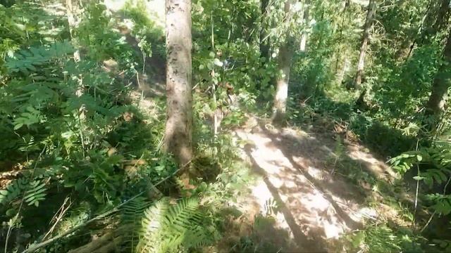 Злая Пчела 2021 Золото (один круг) смотреть онлайн