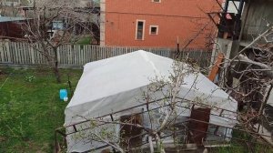 как я спилил макушку дерева#сад #своимируками