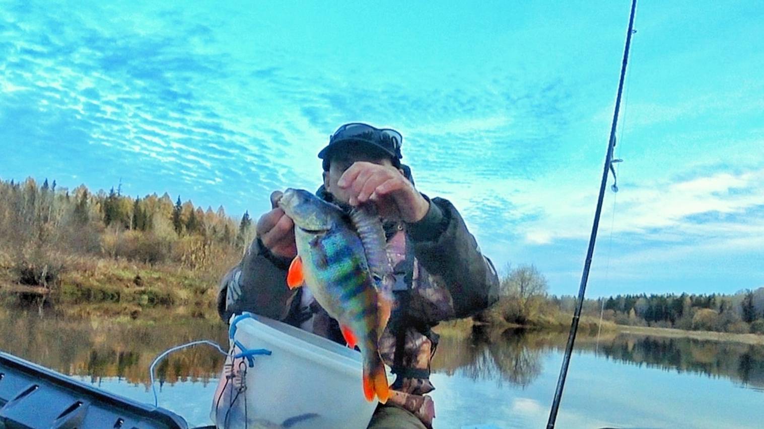 С ТАКИМИ ОКУНЯМИ И ЩУК НЕ НАДО