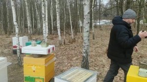 Открытое или закрытое дно в ульях ППС / ППУ зимой?