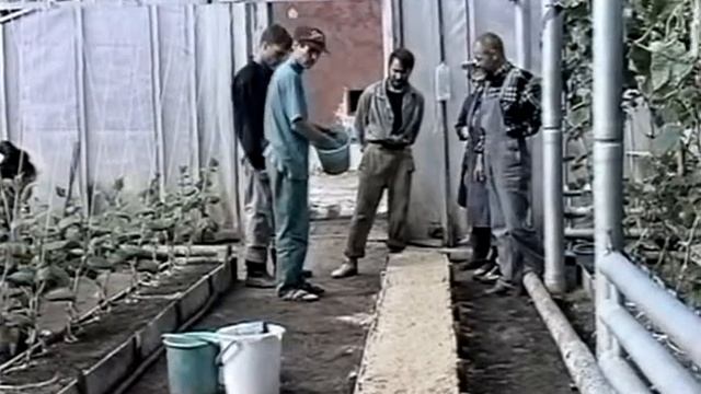 Теплица по всем правилам. Метод Миттлайдера. Технолог?