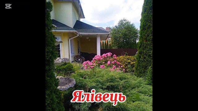 Квітник, який надихає: гармонія природи та краси / Квіт смотреть онлайн