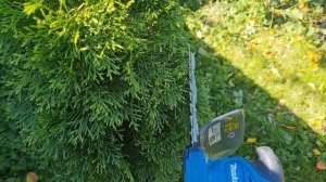 Незаменимый инструмент для дачи! MAKITA DUM604Z.