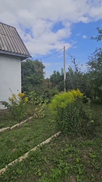 8182559 смотреть онлайн
