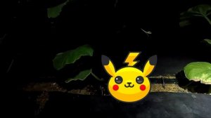 Нашатырный спирт против слизней на участке – реально