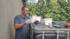 Корневая подкормка винограда после цветения. Черенки