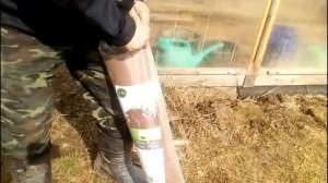 клубника под геотекстилем