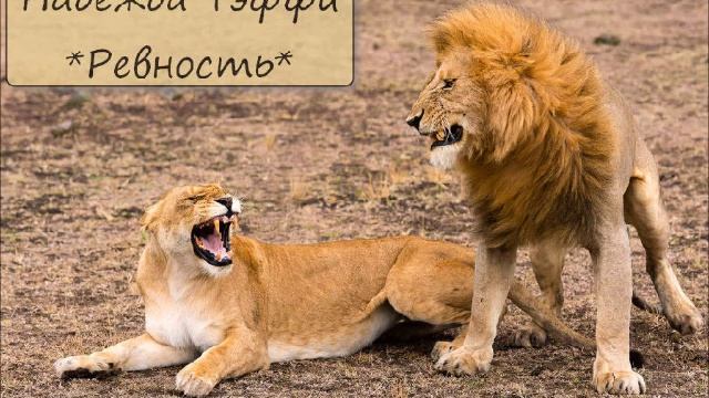 НАДЕЖДА ТЭФФИ - "РЕВНОСТЬ" смотреть онлайн