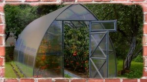 Как выбрать поликарбонат для теплицы?