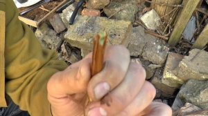 Прививка ВИНОГРАДА весной - черным в черное