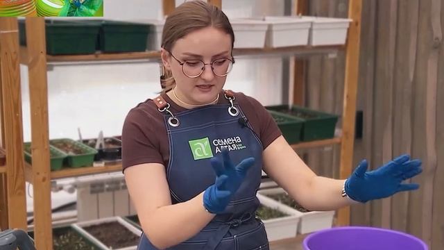 ВСЕ ОБРАБОТКИ САДА ВЕСНОЙ ОТ ВРЕДИТЕЛЕЙ И БОЛЕЗНЕЙ!