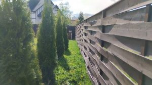 Виноград в Подмосковье, перспективы выращивания неук?