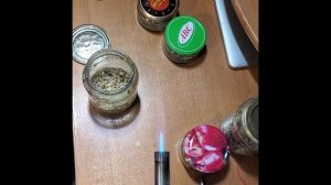 Триходерма на перловке от А до Я за 4 дня. Часть первая