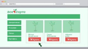Интернет магазин растений «Все сорта»