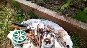 Прививка винограда в боковой зарез .Черным в зеленое. +