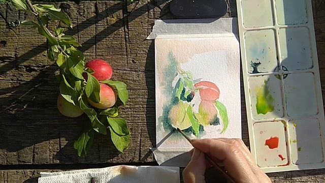 Малюємо сливу аквареллю//Етюд з натури #акварель #слив? смотреть онлайн