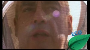 Пчеловодство в Америке, как разводят пчел в Америке