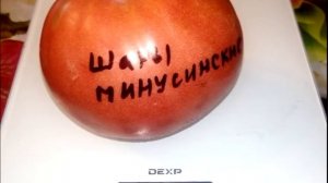 Томат Шары минусинские