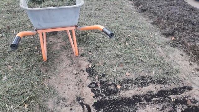 🌻🌻🌻МУЛЬЧИРОВАНИЕ ОСЕНЬЮ ЧЕСНОКА🌻🌻🌻