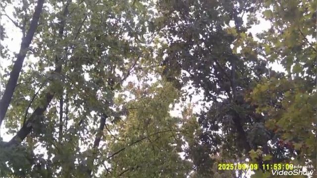 Мариуполь 🛥️ пр.Нахимова,ул.Черноморская , полупустые компенсационные дома,🏢🏢🏢 смотреть онлайн