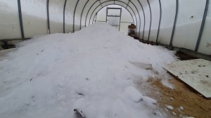 Снег в теплице нужен или нет // Уход за теплицей зимой в