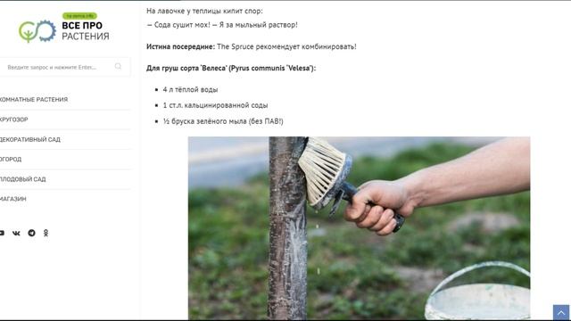 Как избавиться от мха на деревьях: 3 рабочих способа смотреть онлайн