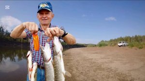 Рыбалка на спиннинг, фидер. Черноречье 2025. День первый.